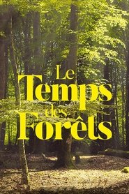 Poster The Time of Forests 2018