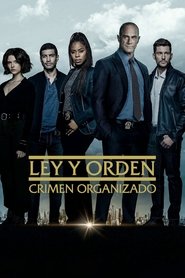 La ley y el orden: crimen organizado