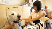 Yui and Bailey the Therapy Dog