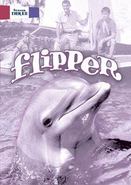 Flipper Season 3 2