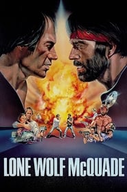 Lone Wolf McQuade (1983) poster