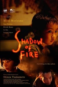 Shadow of Fire постер