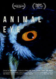 Animal Eye (2025)