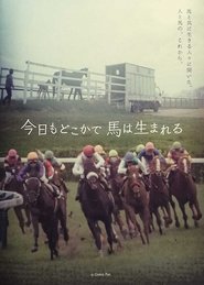 今日もどこかで馬は生まれる