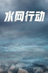 水网行动 (2002)