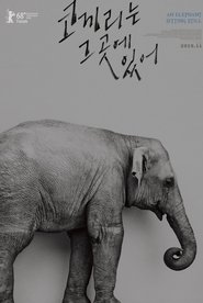 코끼리는 그곳에 있어 (2018)