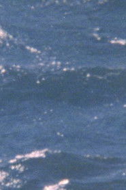 The possibility of being sea