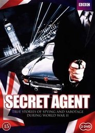 Secret Agent (2001) Secret Agent (2001)