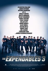 The Expendables 3 [The Expendables 3]