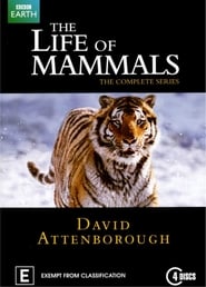 The Life of Mammals