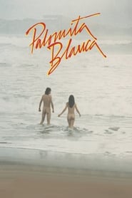 Poster Palomita blanca