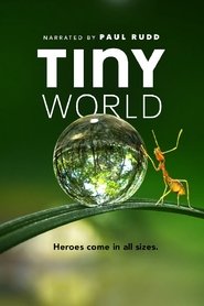 MongoDB.Entities.FuzzyString