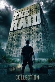 The Raid Collection streaming