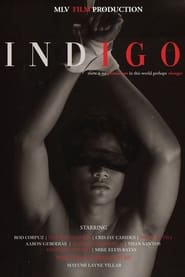 Indigo the Series poster