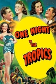 One Night in the Tropics постер