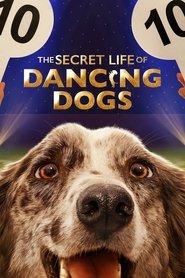 Poster The Secret Life of Dancing Dogs - Season 1 Episode 1 : It’s a Dog Eat Dog World 2023