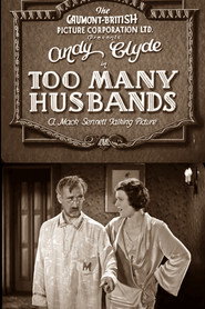 Too Many Husbands