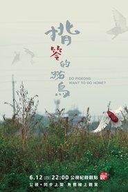 揹笭的粉鳥