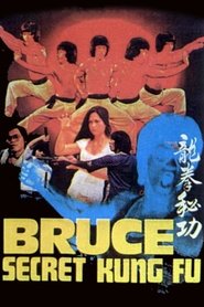 Poster Bruce's Secret Kung Fu 1988