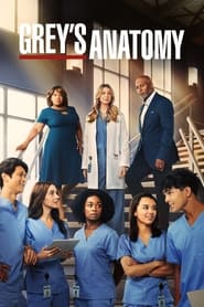 Poster Grey's Anatomy - Season 15 Episode 24 : Drawn to the Blood 2023