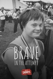 Poster Brave in the Attempt 2015