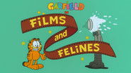 Films and Felines
