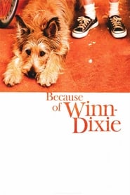 Because of Winn-Dixie постер
