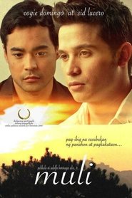 The Affair 中文配音