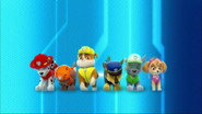 Paw Patrol: Patrulla de Cachorros - Episodio 33: Episodio 33