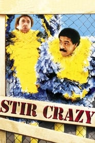 مشاهدة فيلم Stir Crazy 1980 مترجم أون لاين بجودة عالية