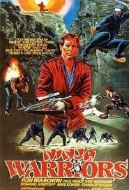 Poster Ninja Warriors 1985