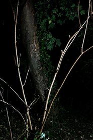 Cyclothymia of a Land