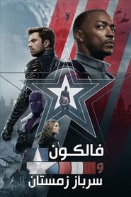 فالکون و سرباز زمستان