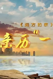 โปสเตอร์ 亲历“一带一路” (2017)