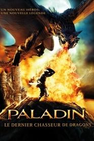 Paladin : Le dernier chasseur de dragons streaming