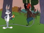 Backwoods Bunny