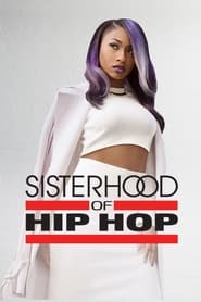 Sisterhood of Hip Hop poster