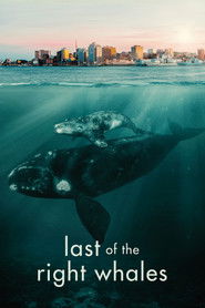 Last of the Right Whales (2021)