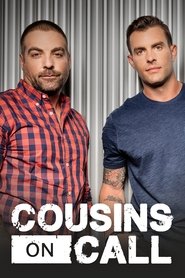 Poster Cousins on Call 2013