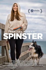 Spinster постер