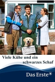 Poster Viele Kühe und ein schwarzes Schaf