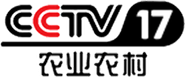 CCTV-17
