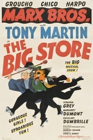 The Big Store постер