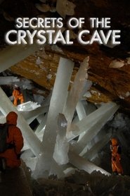 Poster Naica: Secrets Of The Crystal Cave 2008
