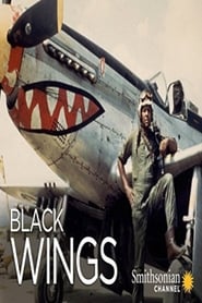 Black Wings постер