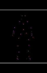 Network Reconstruction Of Nematode Symbionts