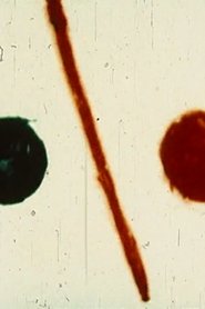 Poster The Miracle Table 1954