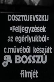 Poster A bosszú