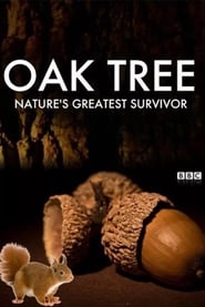 Poster Oak Tree: Nature's Greatest Survivor 2015