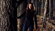 Imagen Crónicas vampíricas 1x17